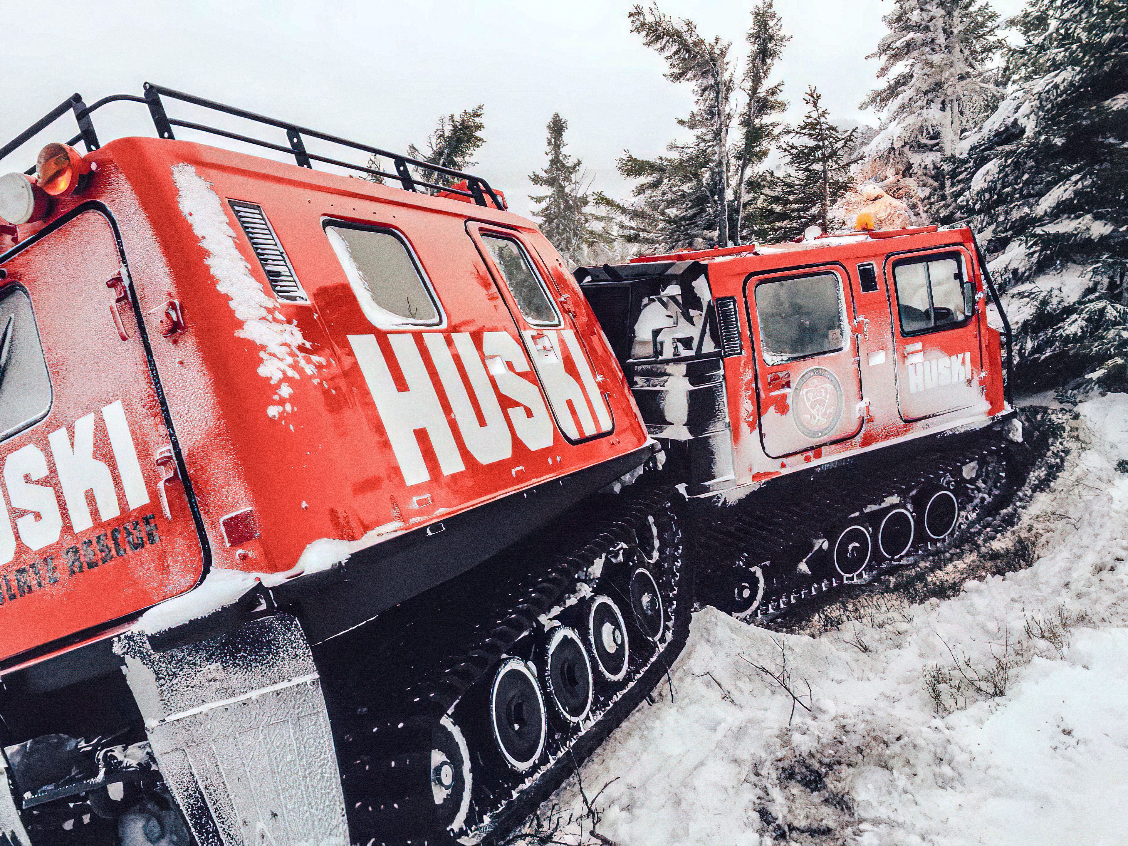 Huski Bandwagon i et vinterlandskap